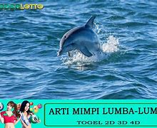 Mimpi Ikan Lumba Lumba Togel